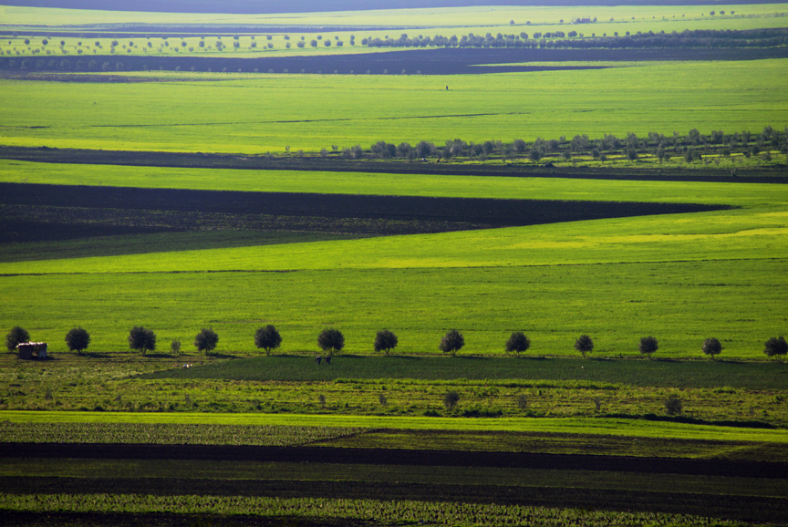 Morocco fields